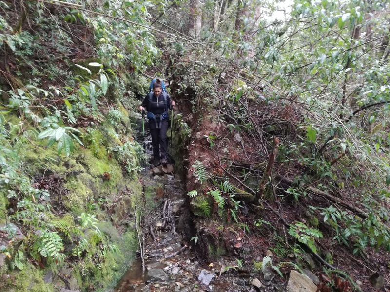 Archivo:Paso rio puelo (2).jpg