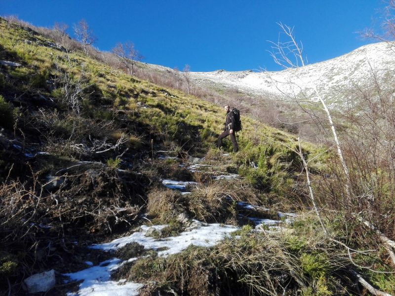 Archivo:Cerro la isla.jpg