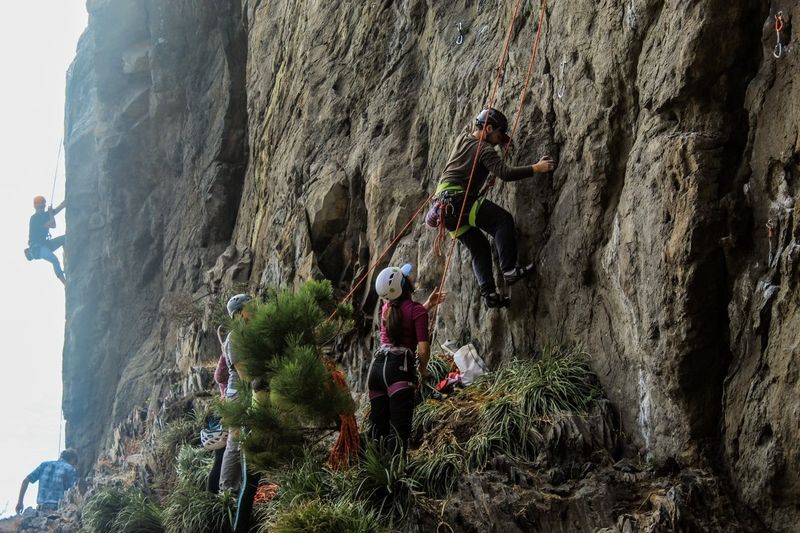 Archivo:Punta de parra (2)-min.jpg