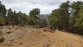 Miniatura de la versión del 15:03 5 mar 2018