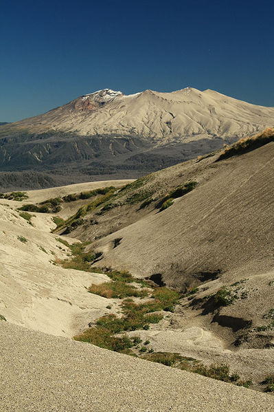 Archivo:Vista volcán puyehue.jpg