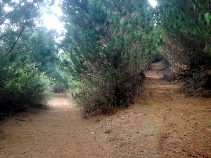 Archivo:Cerro neuque (4).jpg