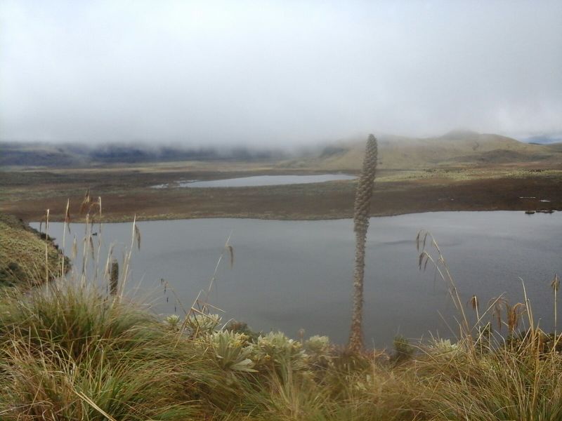 Archivo:Dos lagunas Voladero.jpg