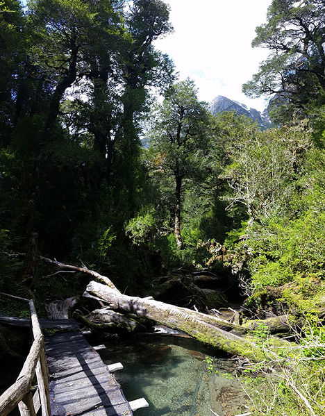 Archivo:Estero bosque encantado.jpg