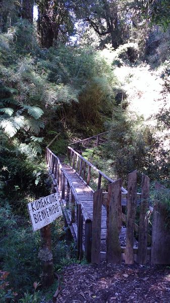 Archivo:Puente parras paraiso.jpg