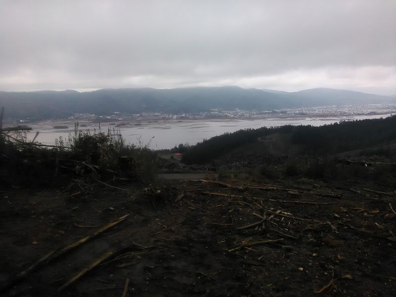Archivo:Fundo pinares (5).jpg