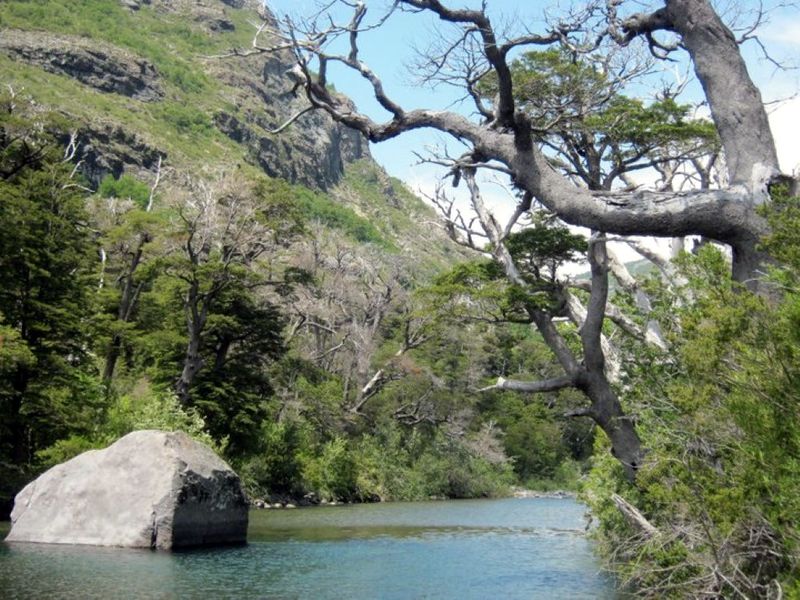 Archivo:Travesia florido (2).jpg