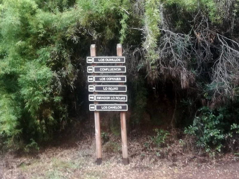 Archivo:Circuito nonguen (4).jpg