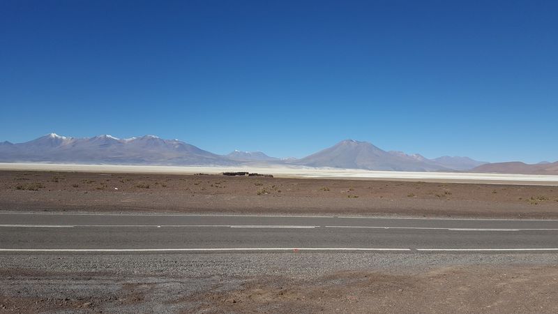 Archivo:Palp 3.jpg