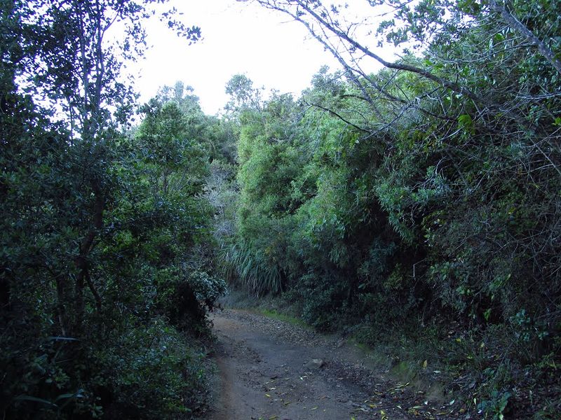 Archivo:Playa los burros (5).jpg