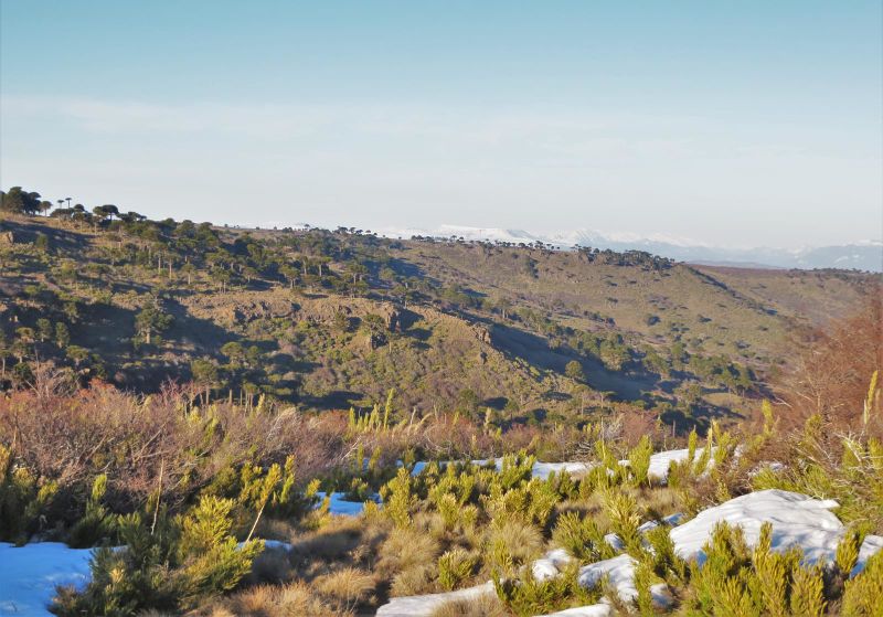 Archivo:Cerro Cuchare (8).jpg