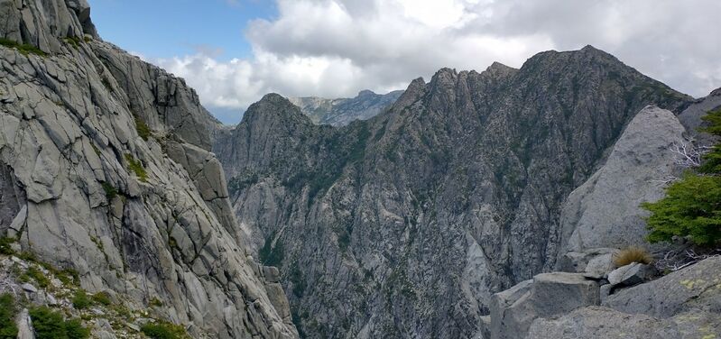 Archivo:Tricauco (124)-min.jpg