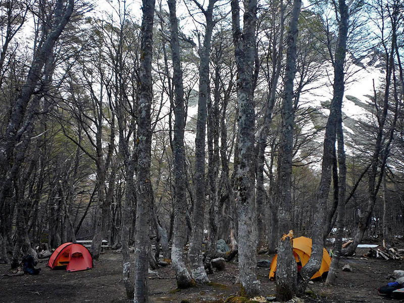 Archivo:Campamento Neozelandes 2.jpg