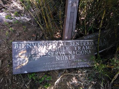 Paso Coltrahue (11).jpg