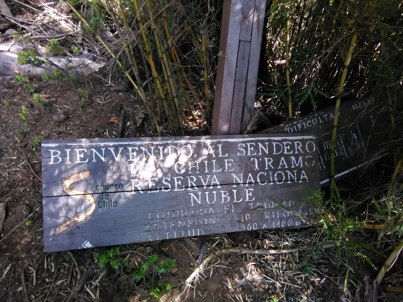 Archivo:Paso Coltrahue (11).jpg