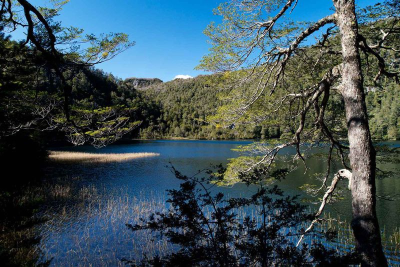 Archivo:Laguna-Pitreno-en-primavera-low.jpg