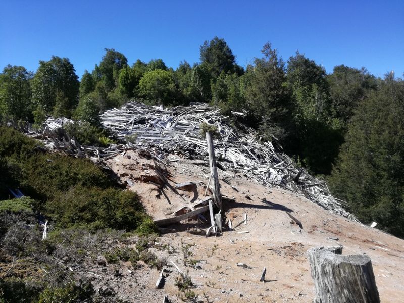 Archivo:Reserva Costera Valdiviana (11).jpg