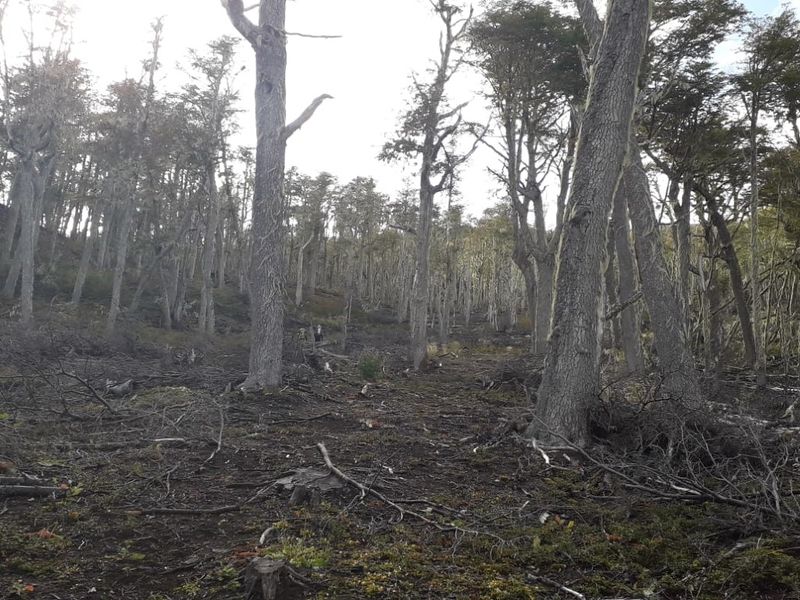 Archivo:Cerro mano negra (2).jpg