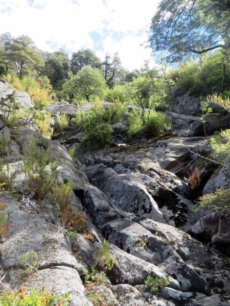Archivo:Laguna huequecura (12).JPG