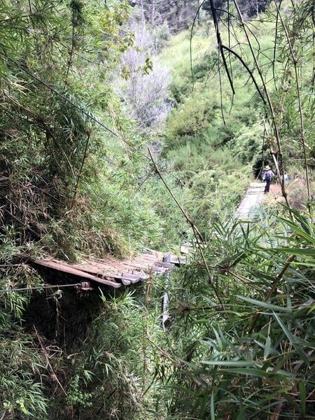 Archivo:Puente los tilos (12).jpg
