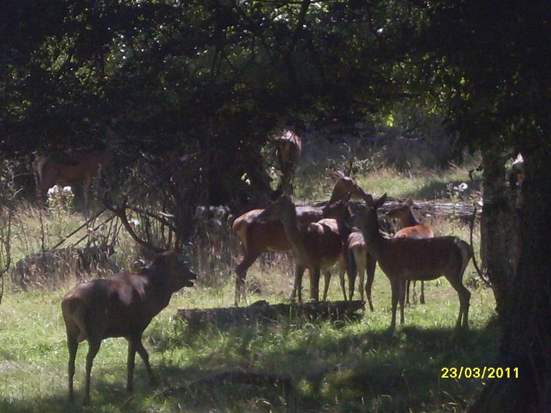 Archivo:SDC11401.JPG.jpg