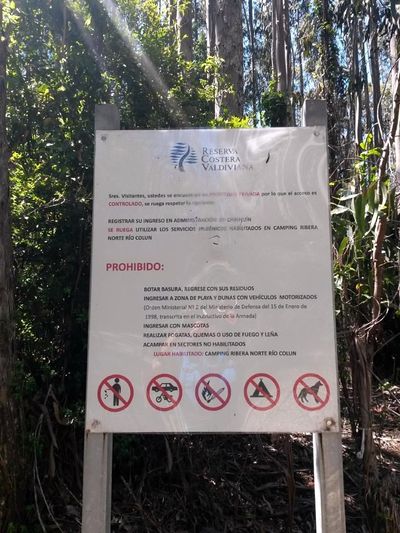 Playa colun (7).jpg