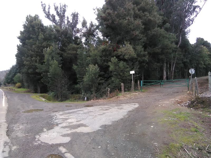 Archivo:Fundo pinares (2).jpg
