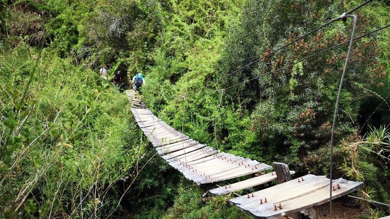 Archivo:Puente los tilos (14).jpg