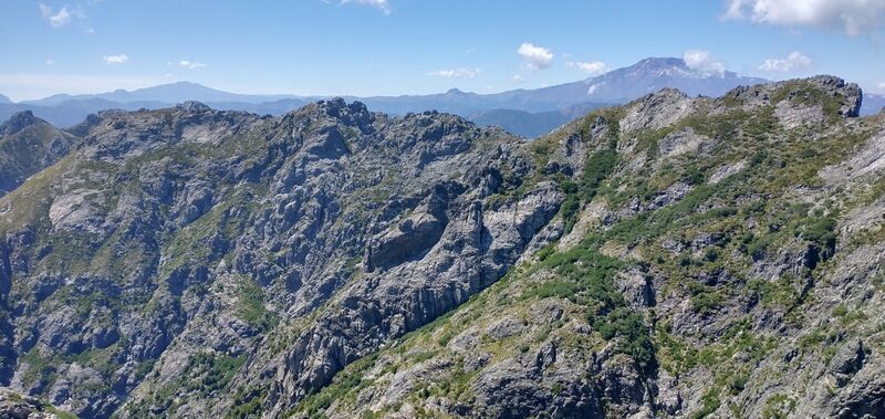 Archivo:Tricauco (121)-min.jpg