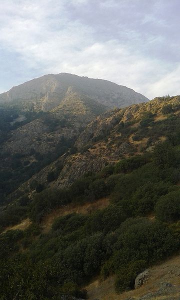Archivo:20130424 181957.jpg