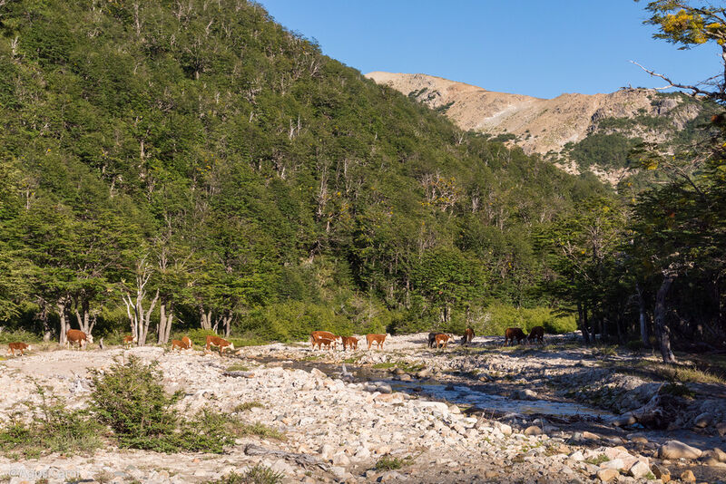 Archivo:Camp Nieblas.jpg