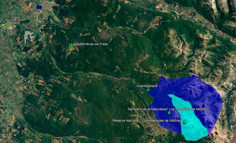 Archivo:Huemules de niblinto.jpg