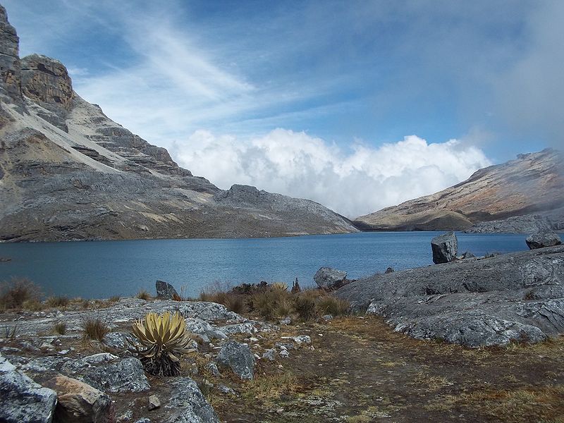 Archivo:Laguna de la Plaza.JPG