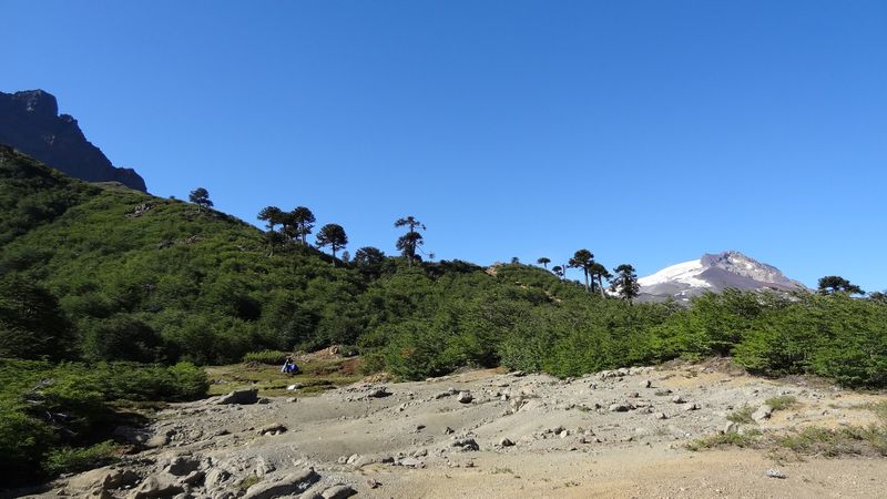 Archivo:Ralco la blanca (8).JPG