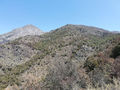 Vista a cerro huilmay.jpg