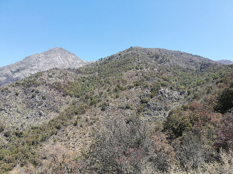 Archivo:Vista a cerro huilmay.jpg