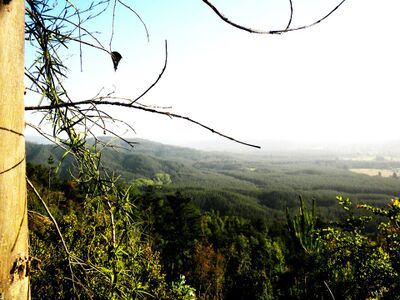 Cerro la costilla (22).jpg