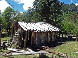GPT 7 Laguna Marinanqui 108830021.jpg