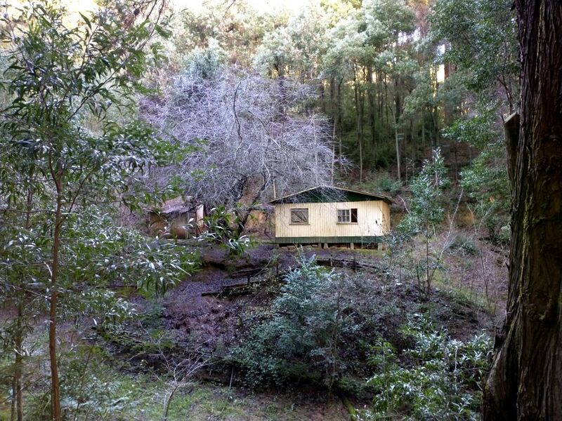 Archivo:Quinta jungue (4).jpg