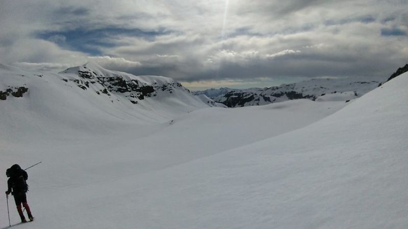 Archivo:Gertrudis invernal (3).jpg