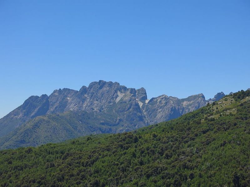 Archivo:Pepa1.jpg