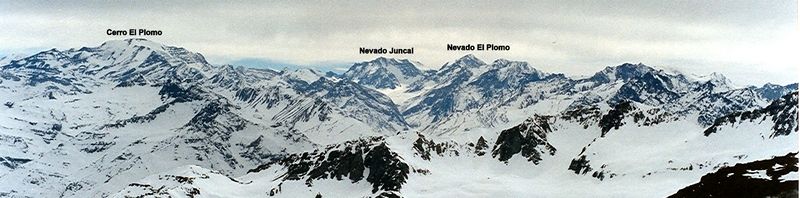 Archivo:Piuquencillo de cumbre.jpg