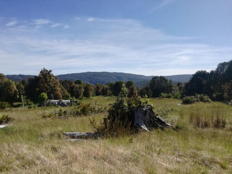 Archivo:Reserva Costera Valdiviana (12).jpg