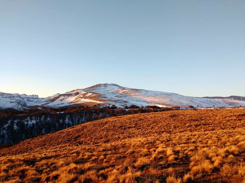 Archivo:Cerro Cuchare (12).jpeg