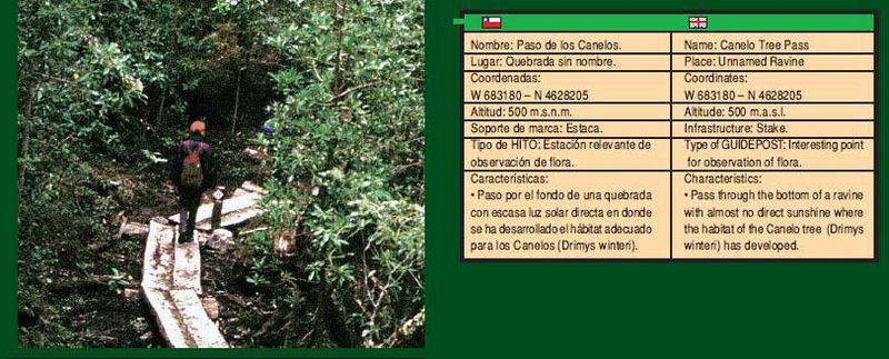 Archivo:Hito Rio Mosco (11).jpg