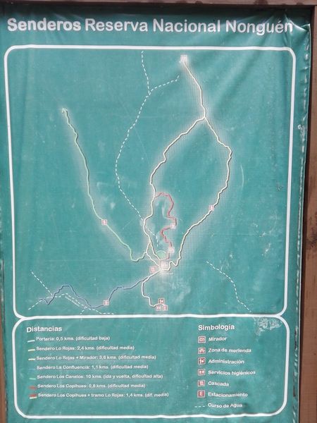 Archivo:Nonguen(6).jpg