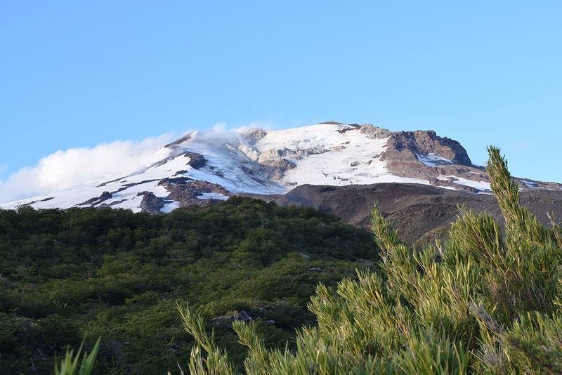 Archivo:Callaqui malla.jpg