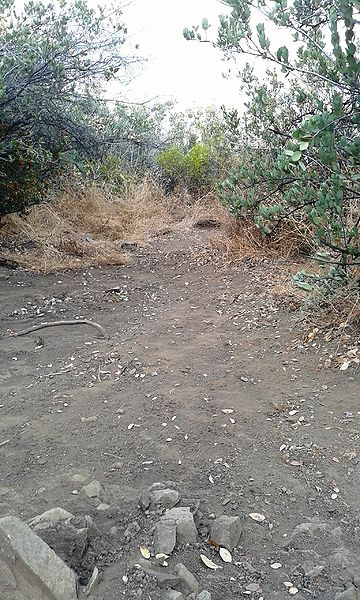 Archivo:20130424 150433.jpg