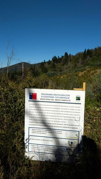 Archivo:Cerro Cayumanqui (8).jpg
