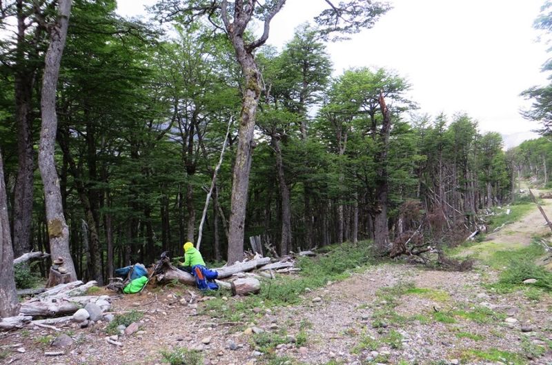 Archivo:Inicio sendero avellanos.JPG